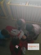 IMG-20250521-WA0052